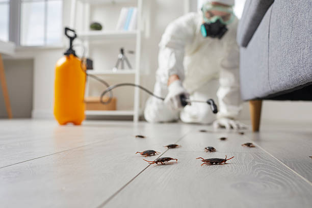 Trusted Cockroach Control service in Burnt Store Marina, FL - Nex Pest Control