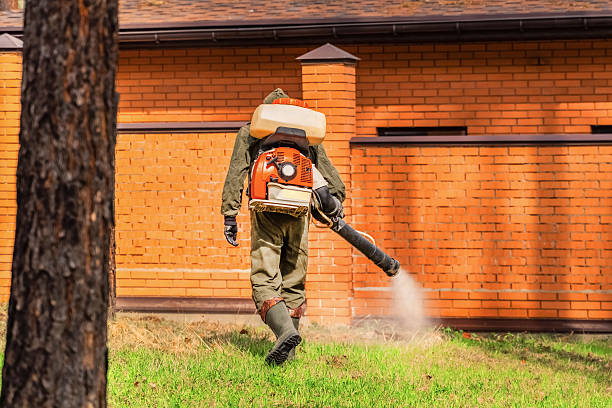 Trusted Ant Control service in Burnt Store Marina, FL - Nex Pest Control
